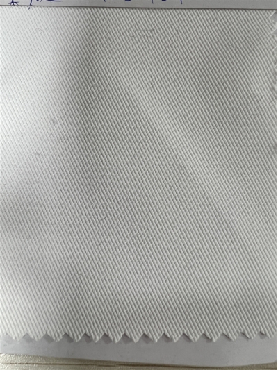 DG-HXC RPET full polyester twill 108*56 back view